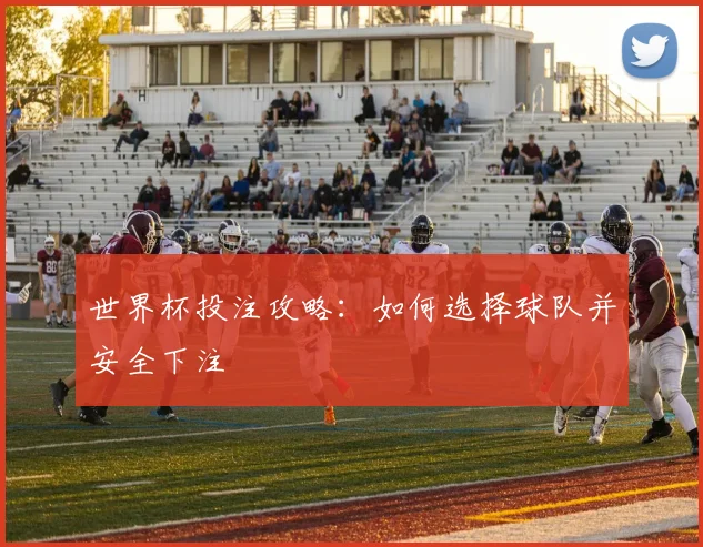世界杯投注攻略:如何选择球队并安全下注