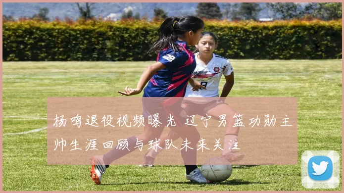 杨鸣退役视频曝光 辽宁男篮功勋主帅生涯回顾与球队未来关注