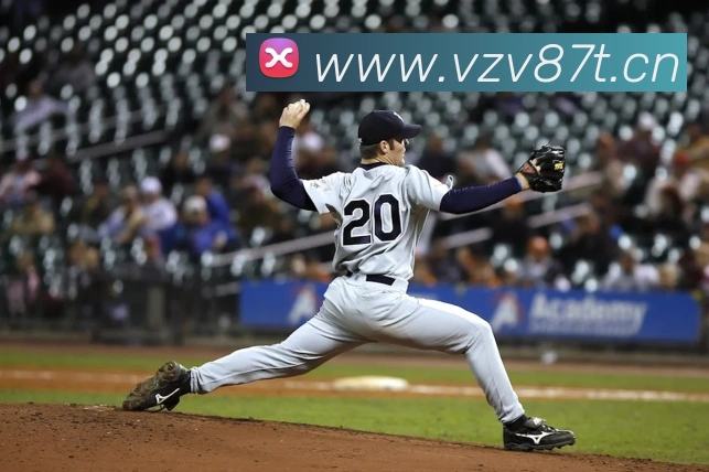 App Interface Preview