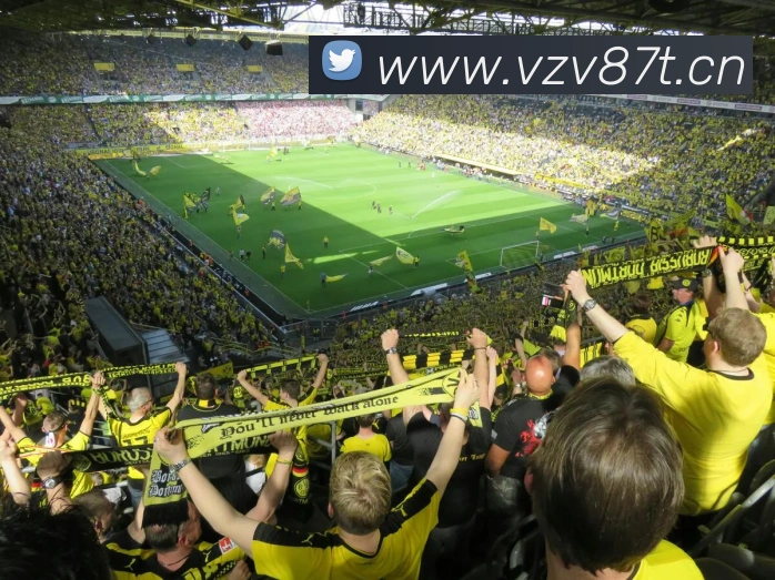 星空官方登录入口APP 封面图